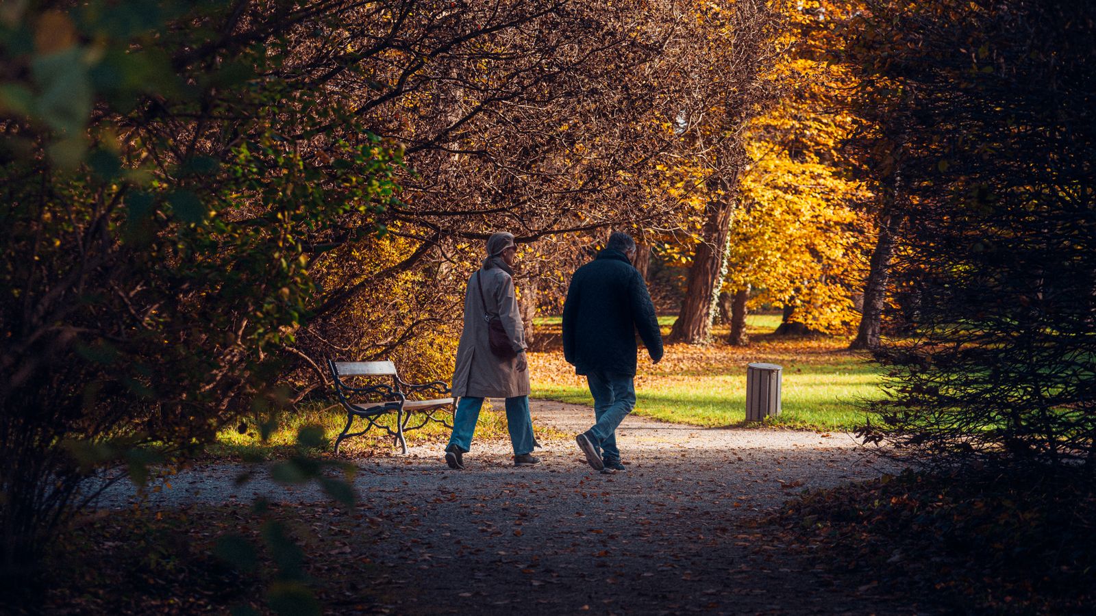 Move a Little More: Simple Ways to Stay Active Every Day